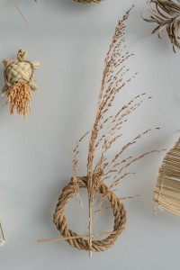 124 MIT01771　ToLoLo