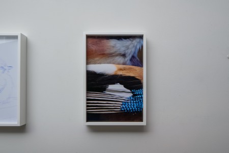 024TAJ03591 ToLoLo studio