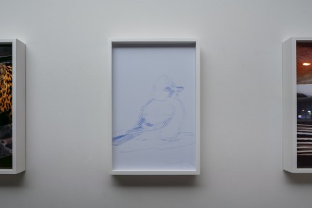 026TAJ03594 ToLoLo studio