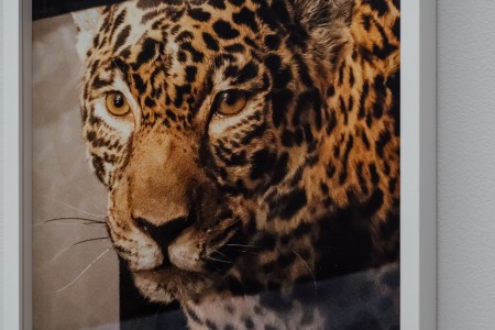 029TAJ03624 ToLoLo studio