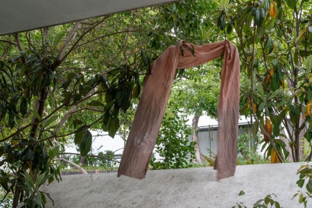 075 TAJ02317　ToLoLo