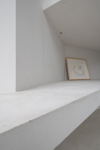 039 TAW01916　ToLoLo