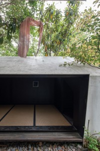 073 TAJ02380　ToLoLo