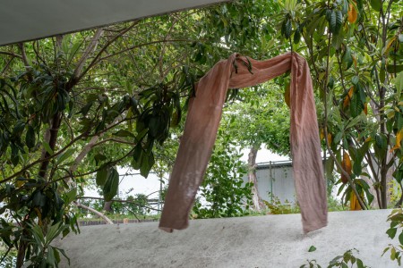 076 TAJ02320　ToLoLo