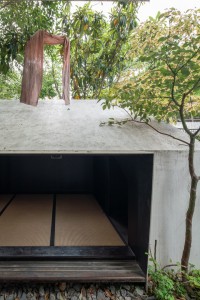 071 TAJ02374　ToLoLo