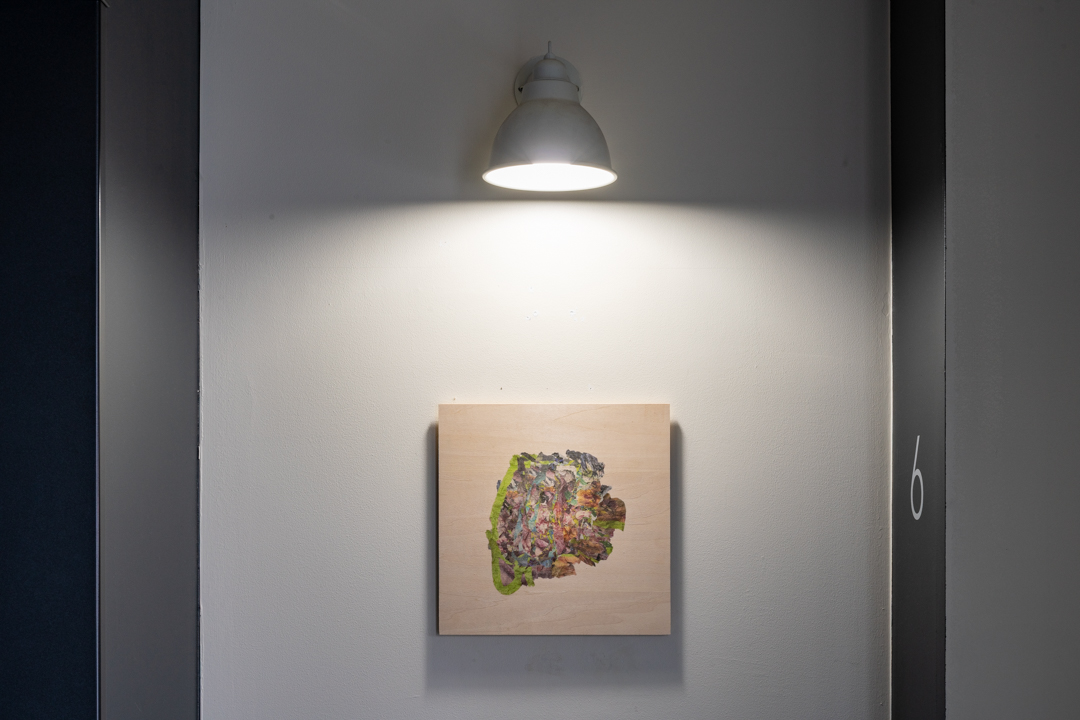 001 NAK05026 ToLoLo studio