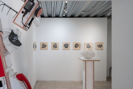 018 NAK05187 ToLoLo studio