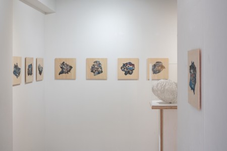 019 NAK05023 ToLoLo studio