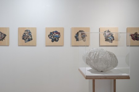 020 NAK05056 ToLoLo studio