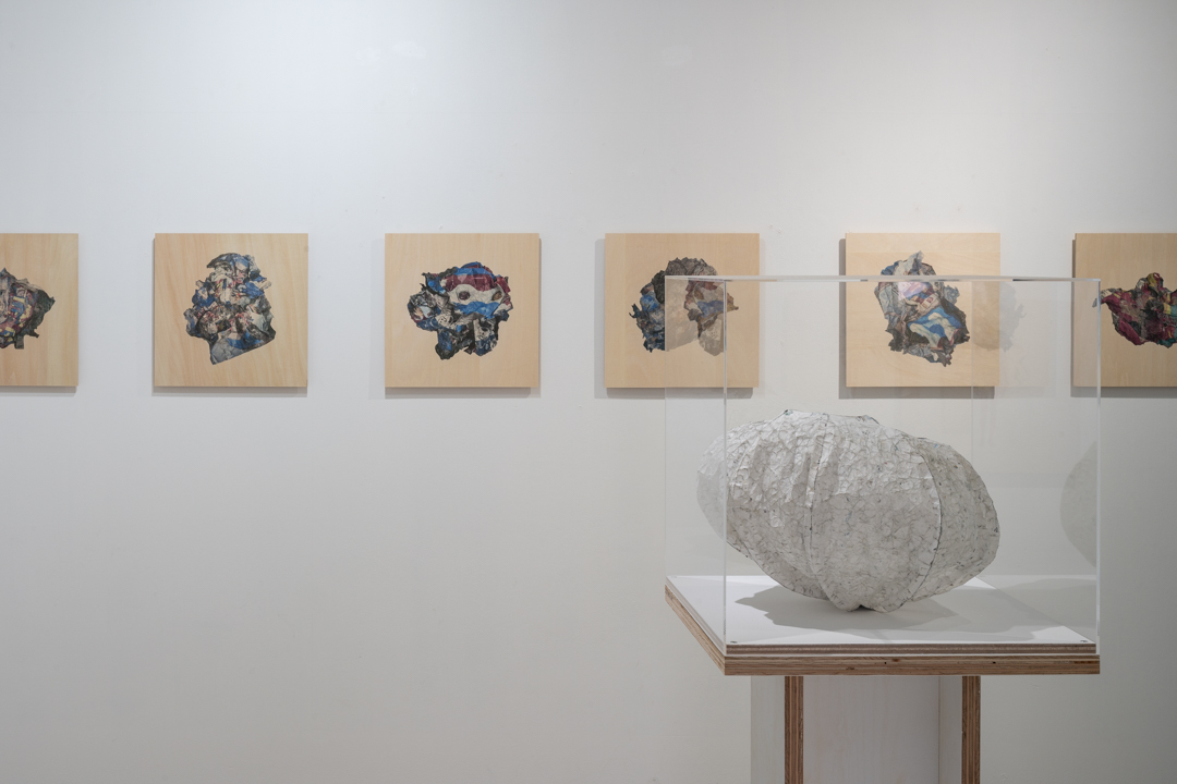 020 NAK05056 ToLoLo studio