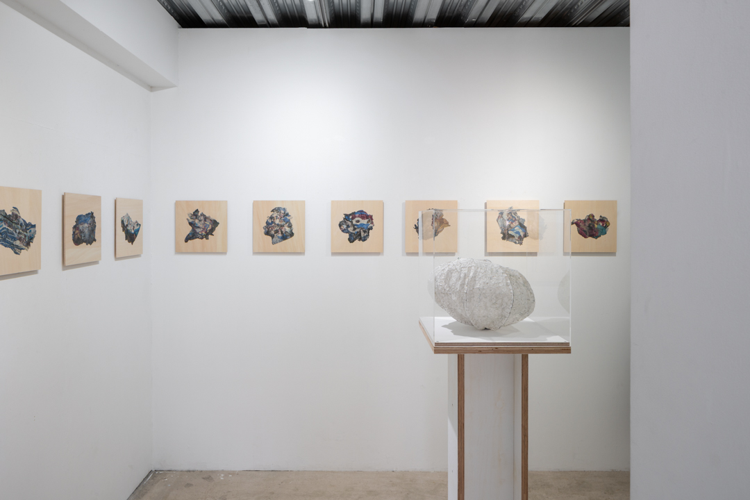 022 NAK05065-Edit ToLoLo studio