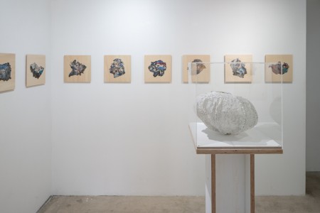 024 NAK05074 ToLoLo studio