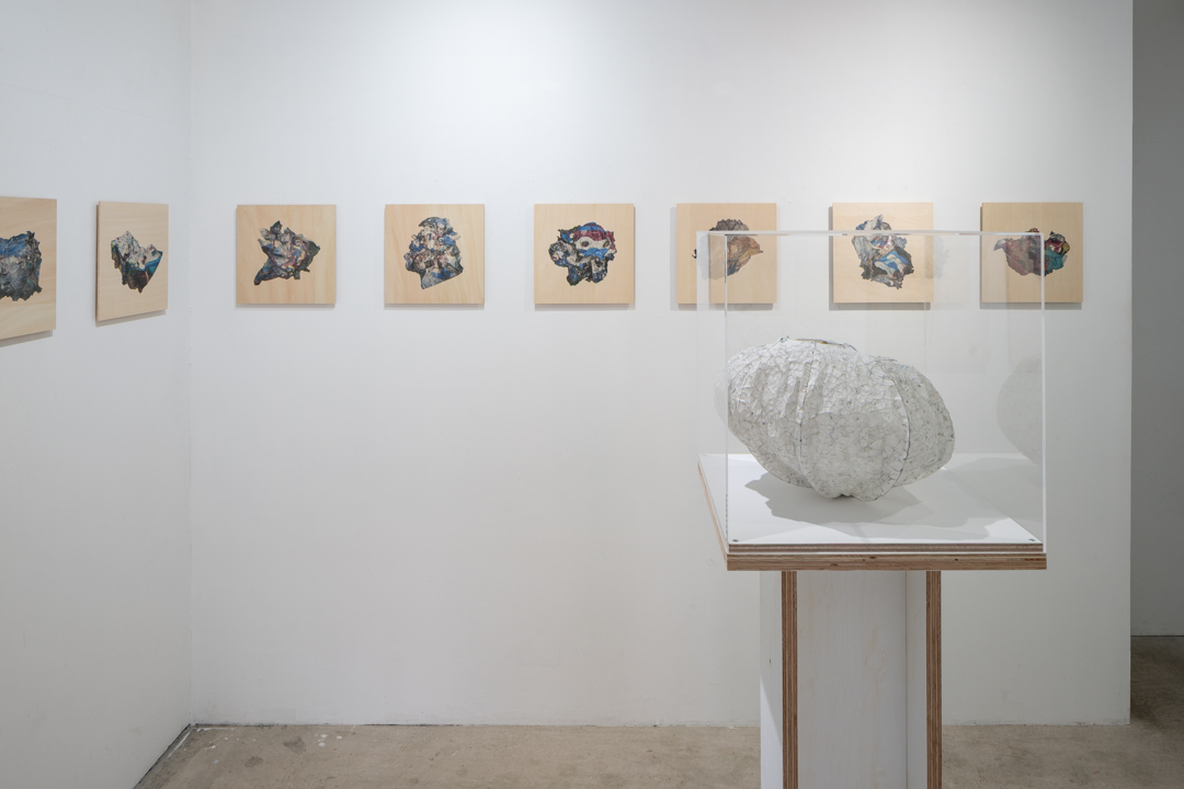 024 NAK05074 ToLoLo studio