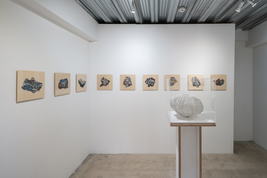 025 NAK05077 ToLoLo studio