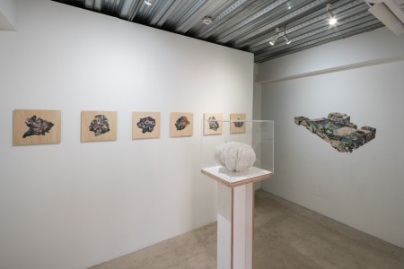 026 NAK05080 ToLoLo studio