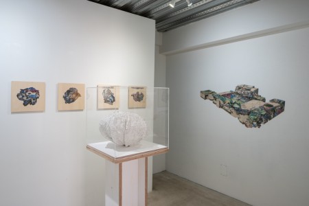 027 NAK05083 ToLoLo studio