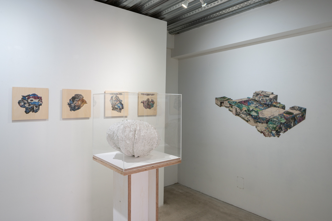 027 NAK05083 ToLoLo studio