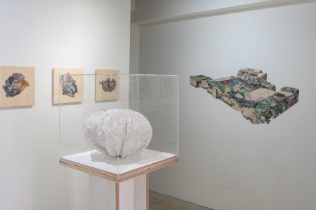 028 NAK05086 ToLoLo studio