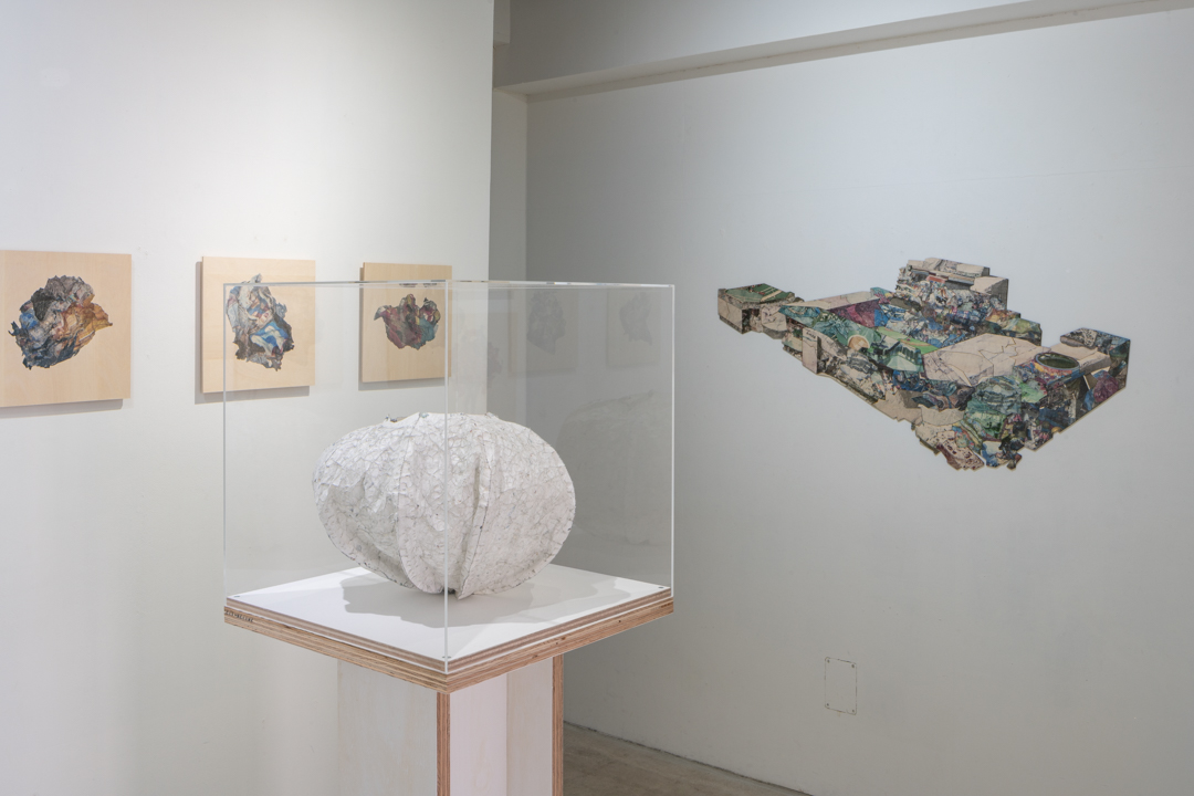 028 NAK05086 ToLoLo studio