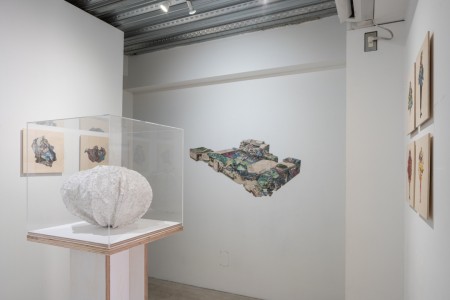 030 NAK05095 ToLoLo studio