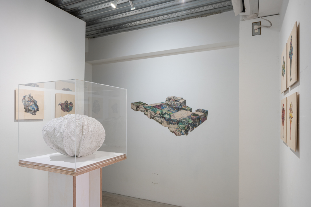 030 NAK05095 ToLoLo studio