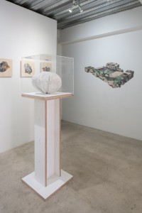 031 NAK05158 ToLoLo studio