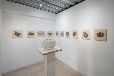 036 NAK05113 ToLoLo studio