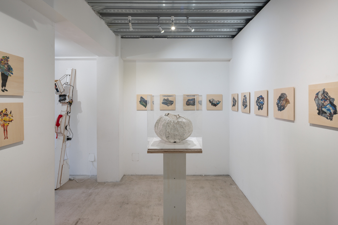 037 NAK05116 ToLoLo studio