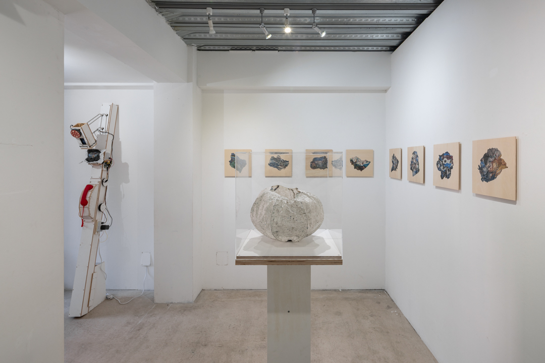 038 NAK05119 ToLoLo studio