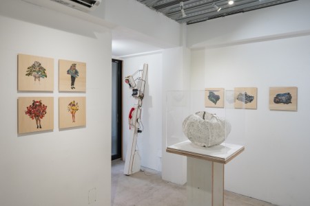 040 NAK05125 ToLoLo studio