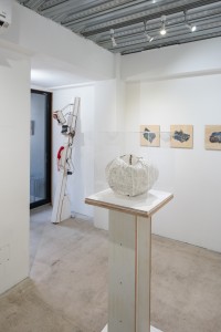 043 NAK05128 ToLoLo studio