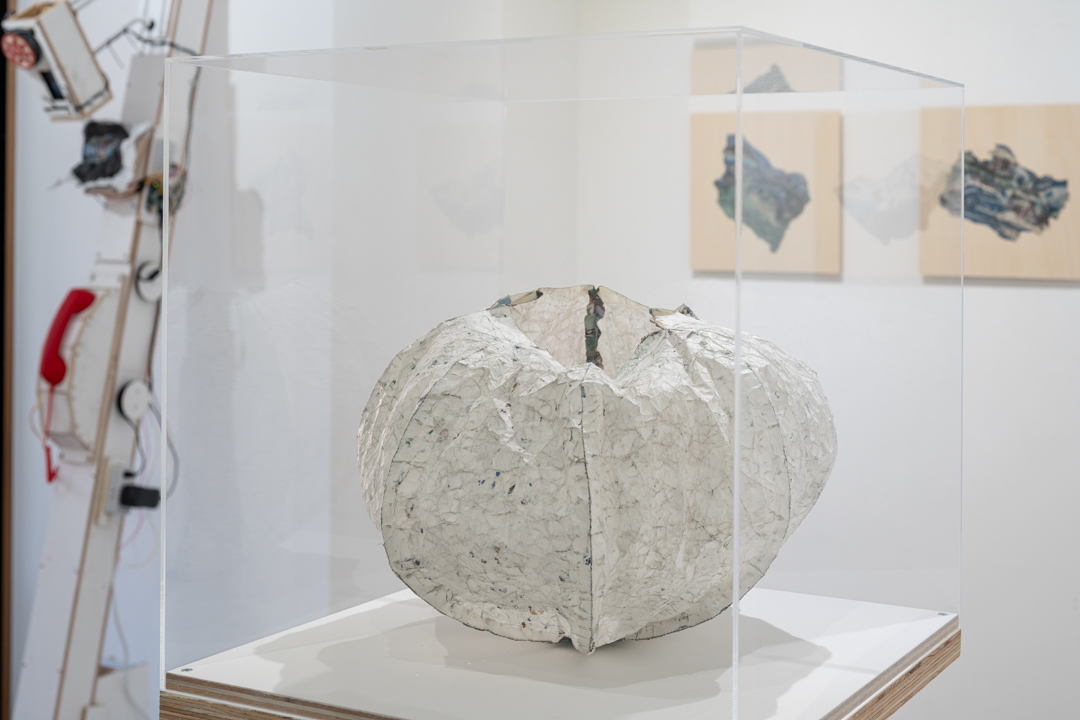 047 NAK05146 ToLoLo studio