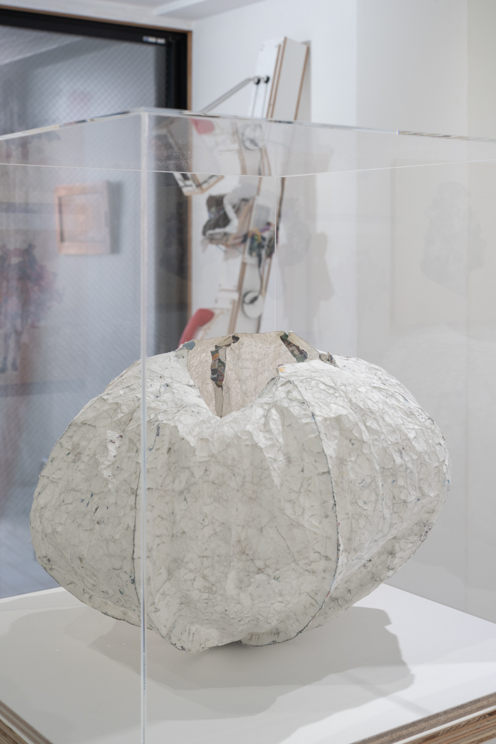 048 NAK05164 ToLoLo studio