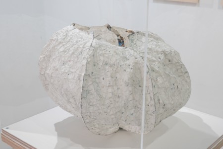 049 NAK05149 ToLoLo studio