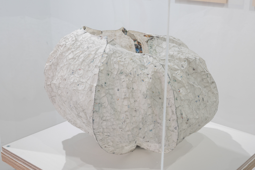 049 NAK05149 ToLoLo studio