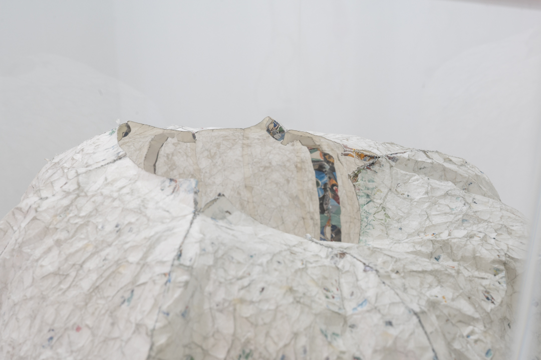 050 NAK05152 ToLoLo studio