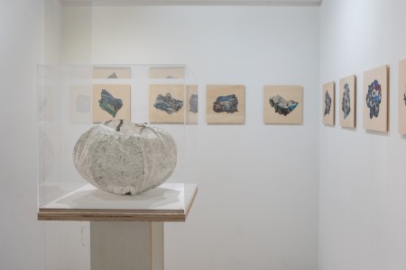 051 NAK05167 ToLoLo studio