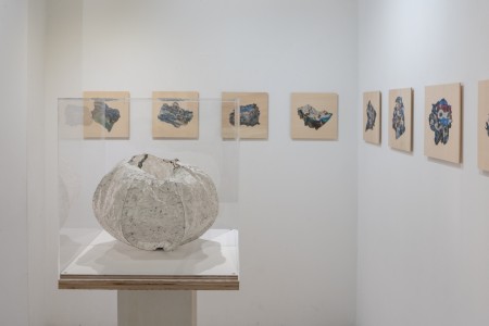 052 NAK05170 ToLoLo studio