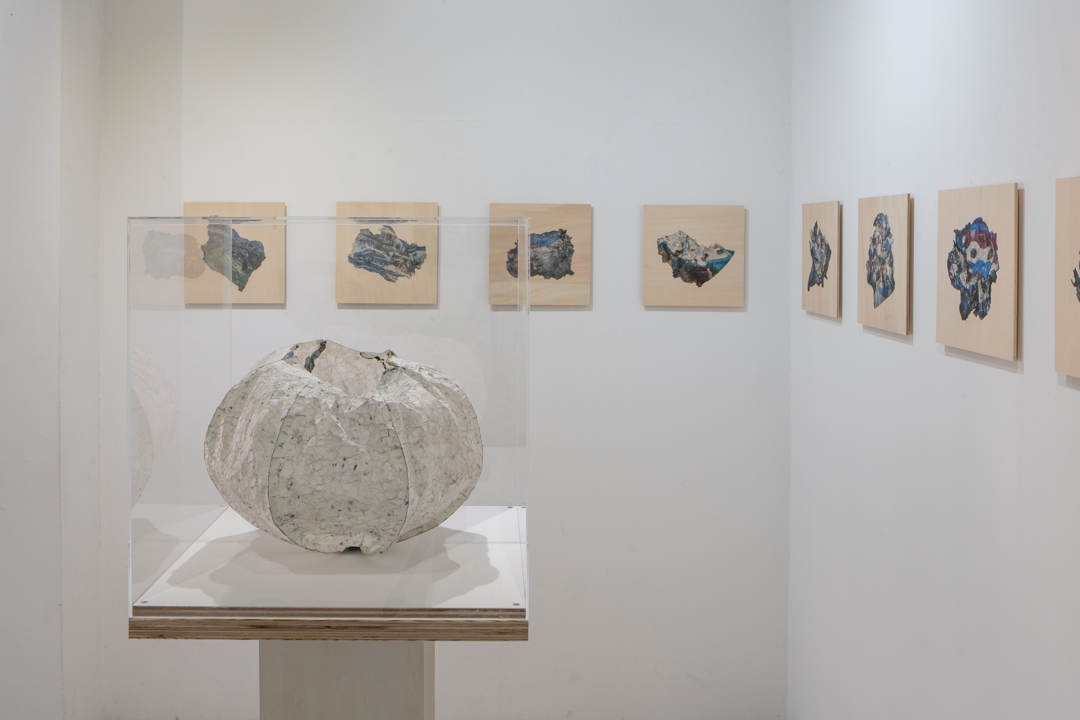 052 NAK05170 ToLoLo studio