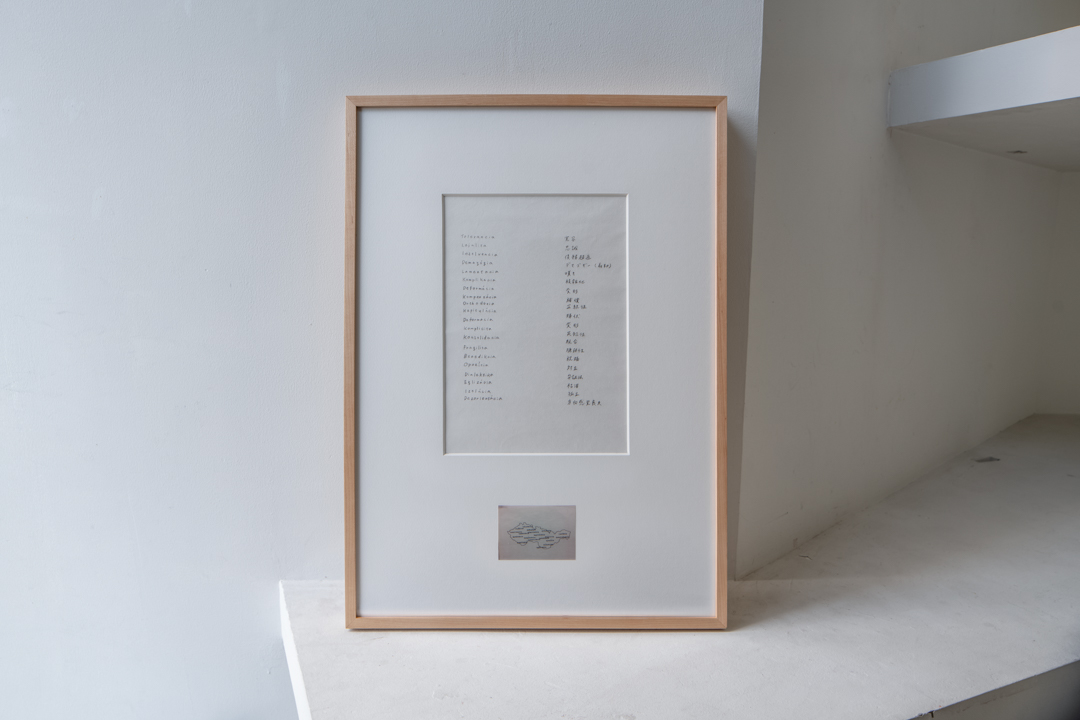 004 TAJ08013-Edit　ToLoLo