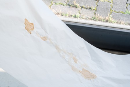 027 TAJ07909　ToLoLo