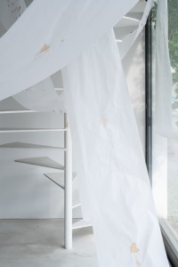 018 TAJ07843　ToLoLo