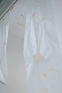 042 TAJ08004　ToLoLo