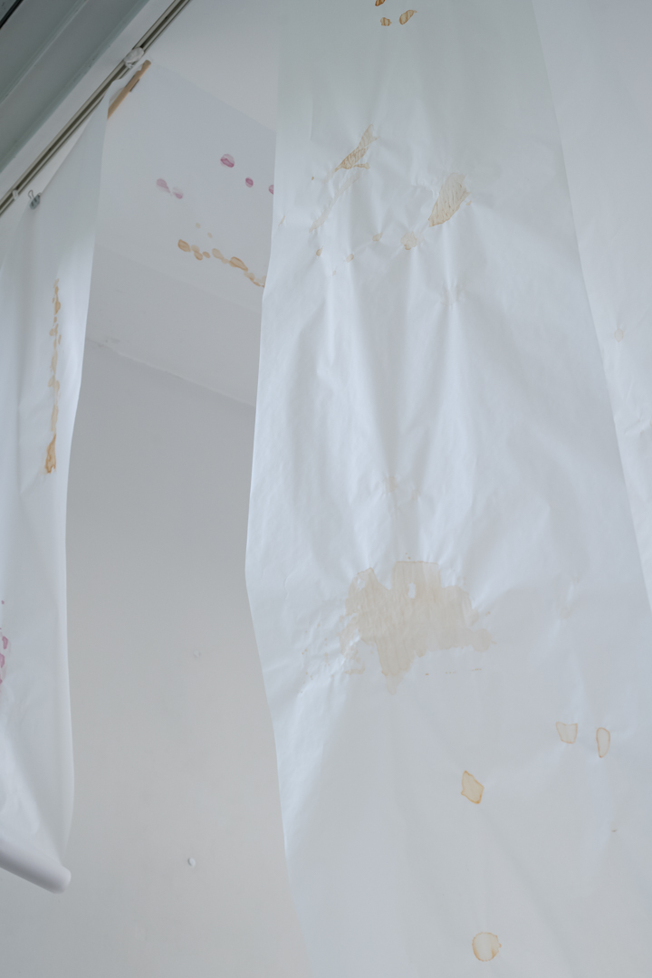 042 TAJ08004　ToLoLo