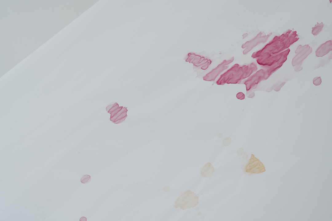 038 TAJ07947　ToLoLo