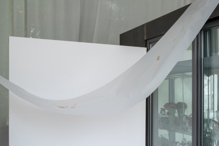 010 TAJ07831　ToLoLo