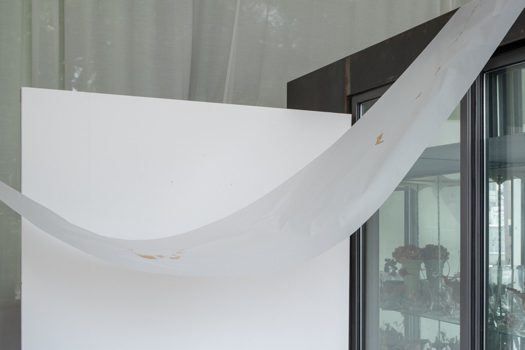 010 TAJ07831　ToLoLo