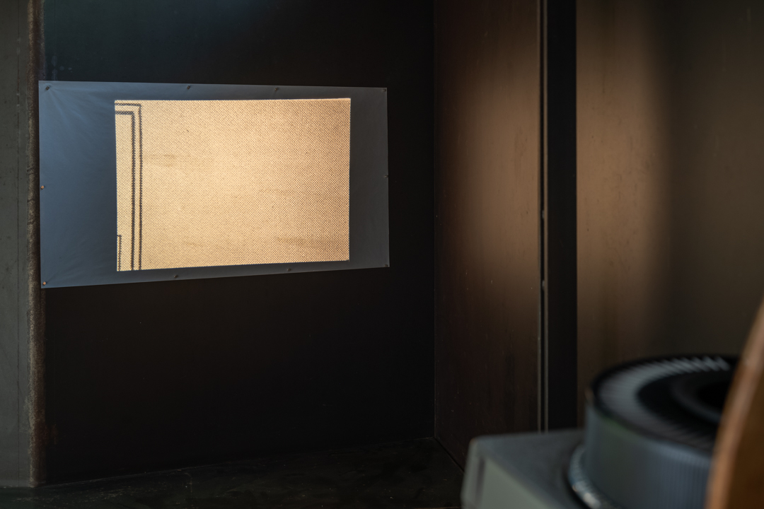 050 TAJ07983　ToLoLo