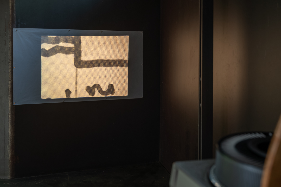 051 TAJ07986　ToLoLo