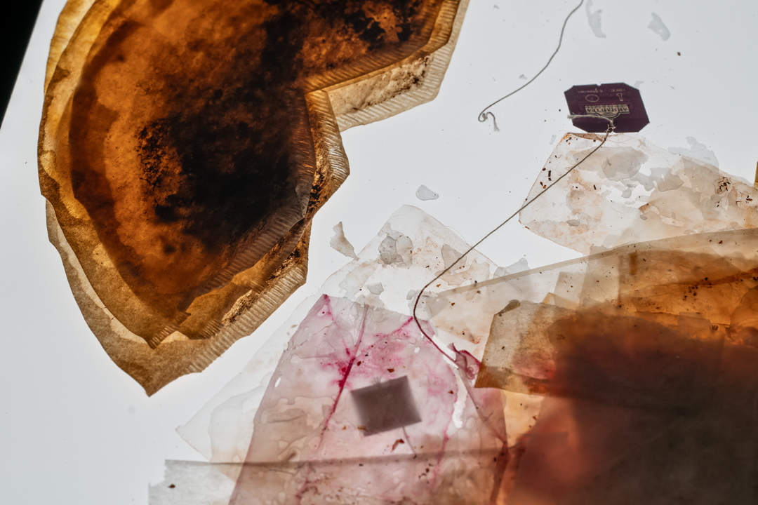 055 TAJ07991　ToLoLo